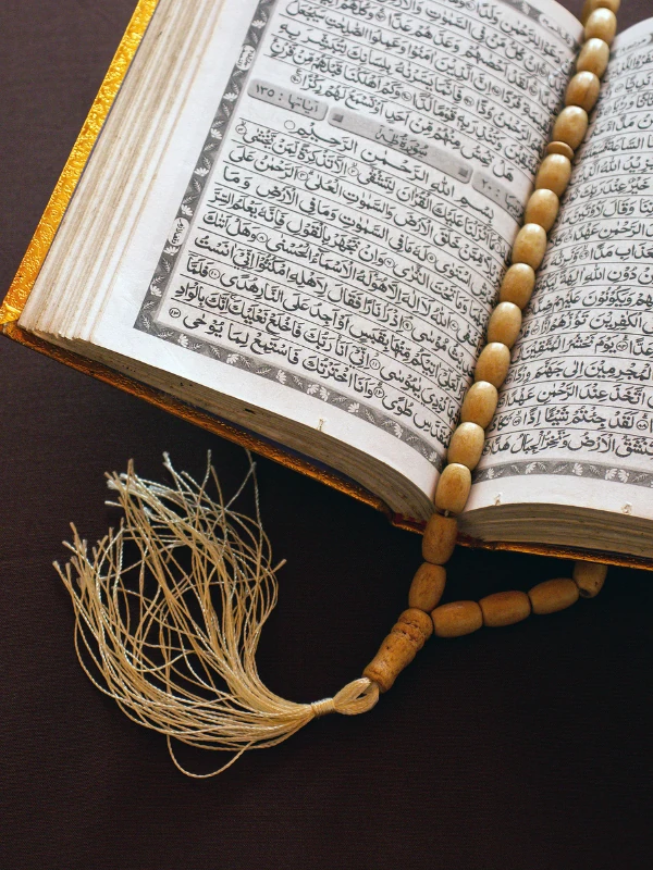 Quran Hifz online course – memorize Quran with AlhamdOfficial